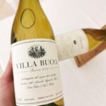 Verdicchio Villa Bucci